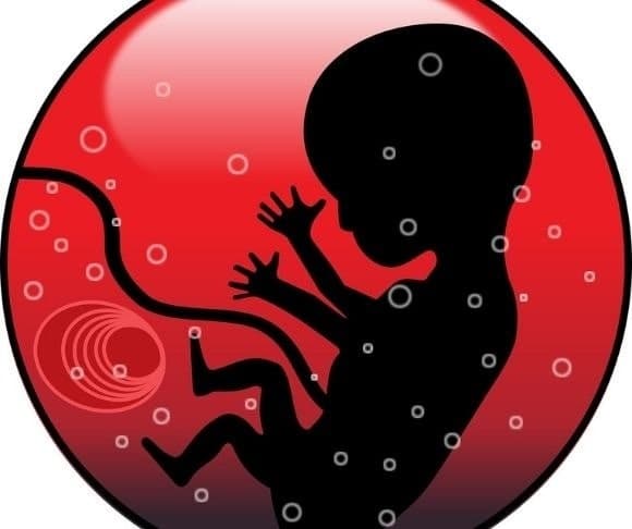 Swamponomics: Exposing This Week’s Economic Fallacies – March 31