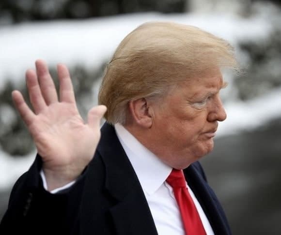 TRUTH TV – Trump Lets the Dogs Out – WATCH NOW