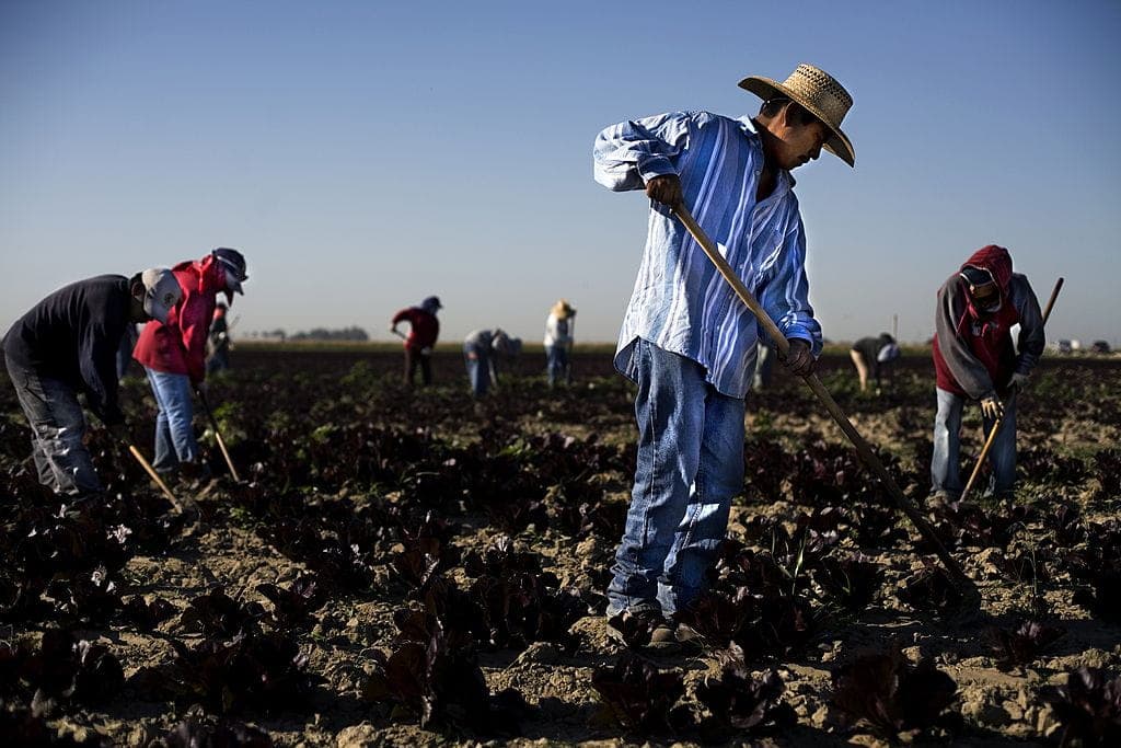 As Anti-ICE Protests Rage, Illegal Alien Labor Abuses Thrive
