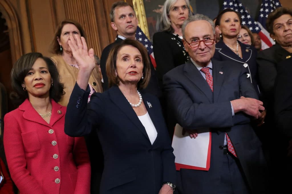 Democratic Party in the Wilderness, Unable to Cope With Defeat