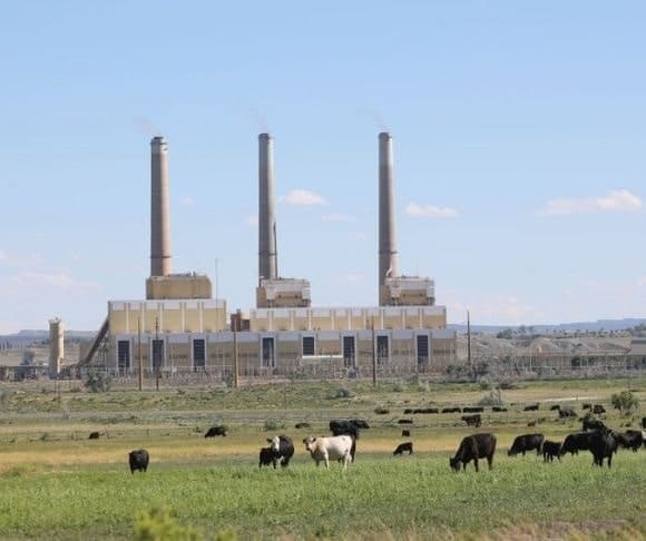 Europe’s Green Deal: Same Hysteria, Same Destruction