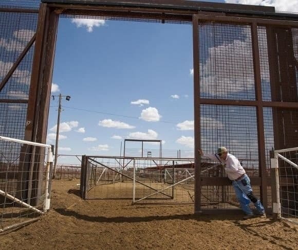 TRUTH TV – Episode 15: New Mexico Wall, Swamp Speech, Loose The Dogs, Wacky Oregon Judge – WATCH NOW