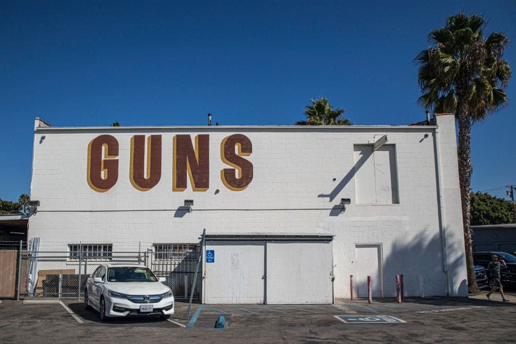 Stripped of Your Second Amendment Rights for Saying Mean Things?