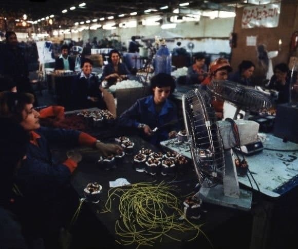 Illegal Aliens – Prisoners and Children – Exploited in Sweatshops