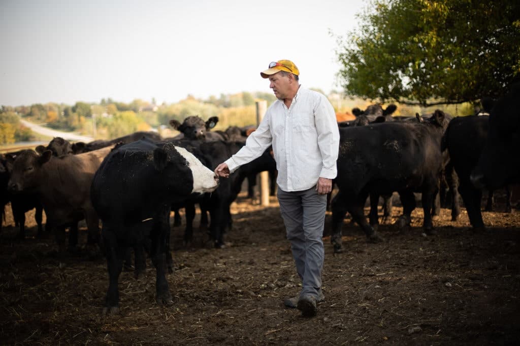Headache in the Heartland: Grumpy Folk Weren’t in the Mood