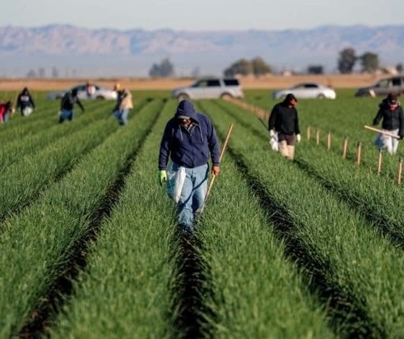 Iowa Targets Employers of Illegal Aliens