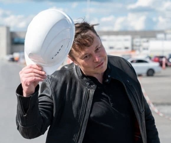 Swamponomics: Elon Musk v Senator Karen