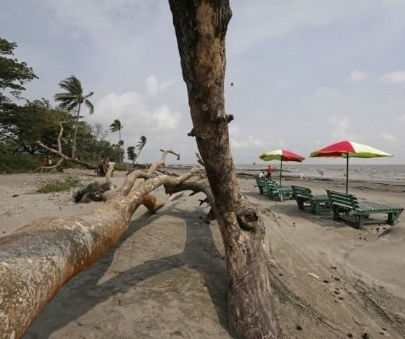 Cold Case: Global Warming and the Murder of Truth