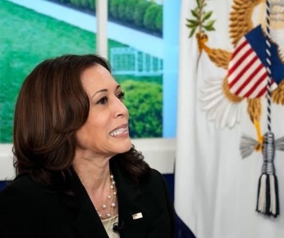 Harris Hints at a Long-Term Stay in the Swamp