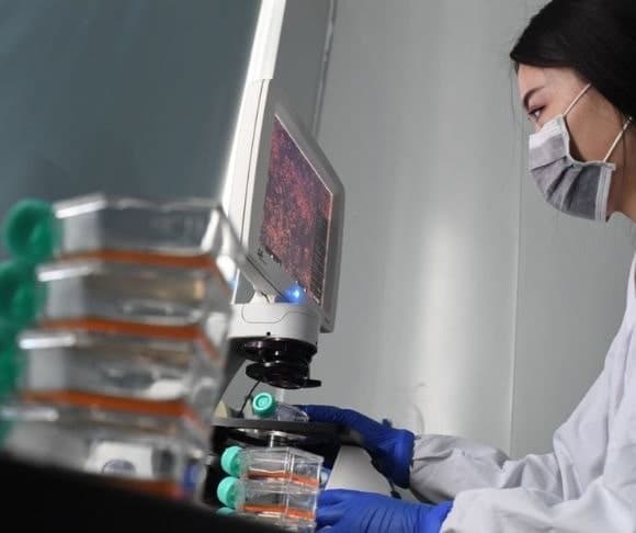 House Report Blames China Bioweapons Lab for COVID-19 Leak