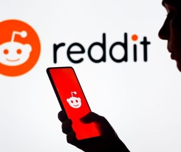 The Wild World of Reddit