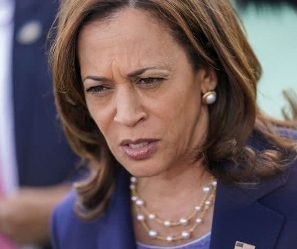 Kamala Harris and the New White House Censorship Task Force