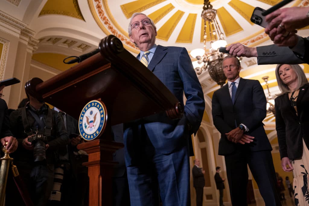 McConnell: GOP Establishment Must Control Primary Outcome
