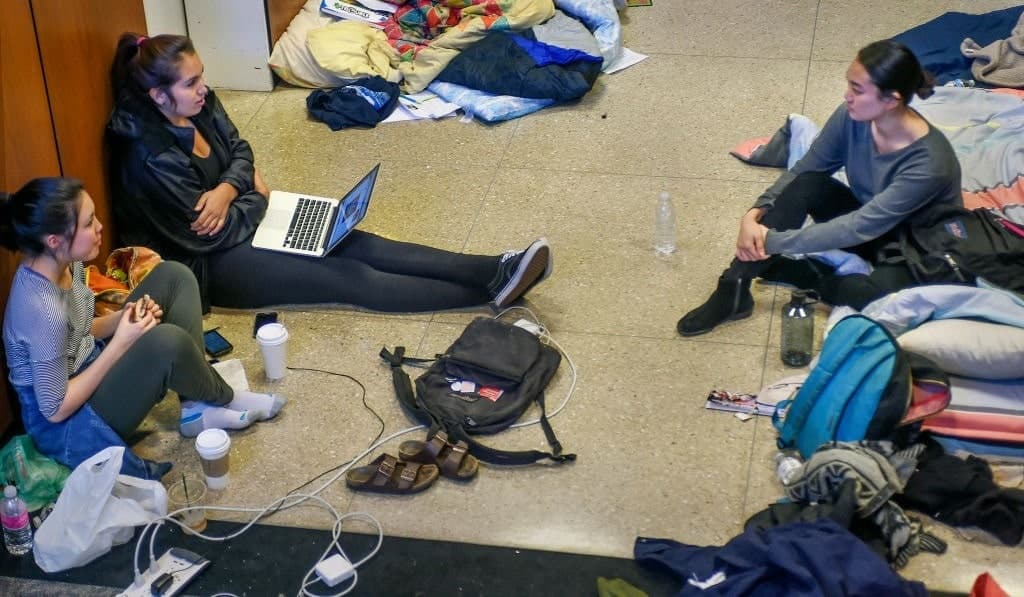 The Heavy Cost of DEI in Universities