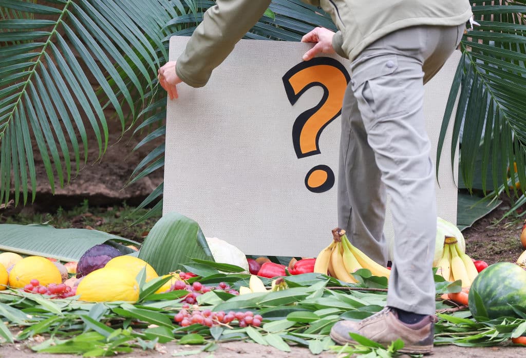 Political Horse Race: The Polling Paradox