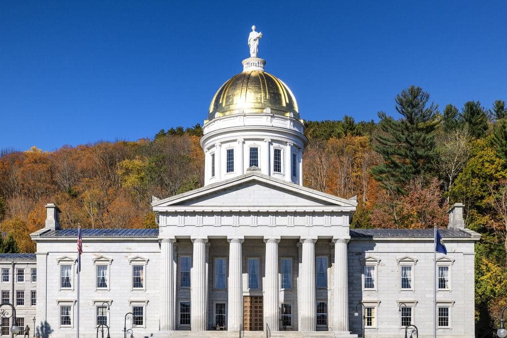 Meet Dean Roy, the Vermont Teen Running for Governor