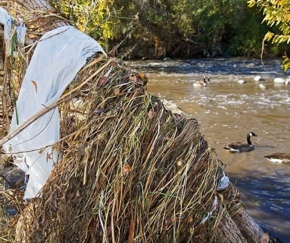 Plastic Pandemic: Another Crisis Made Worse by the COVID Panic