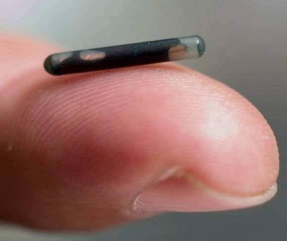The Human Microchip Conundrum