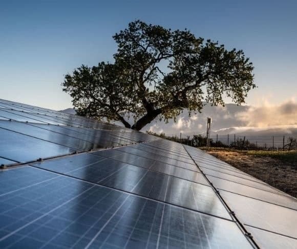 Green Energy Isn’t Doing Its Part