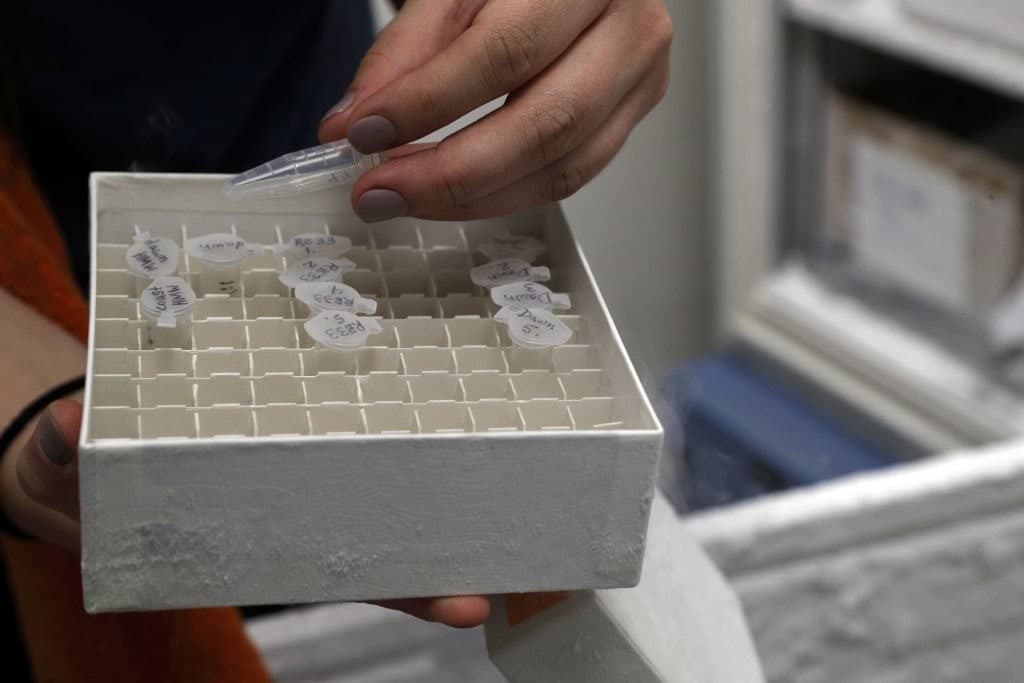 Blackstone’s Massive DNA Database: Could It Affect Your Insurance?