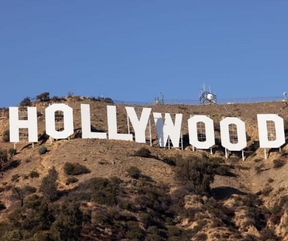 Hollyweird Paint by Numbers Inclusivity