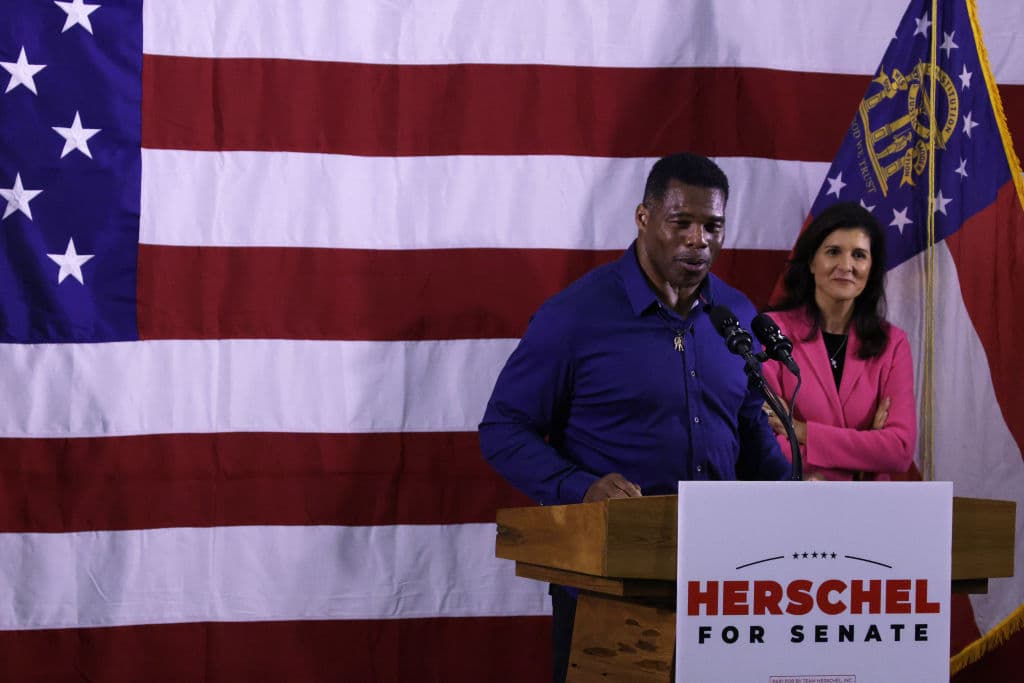 The Battle for Georgia: Senate Tiemaker or Tiebreaker?