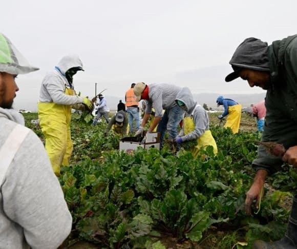 New Rules on Immigrant Worker Visas Grease Slide to Citizenship?