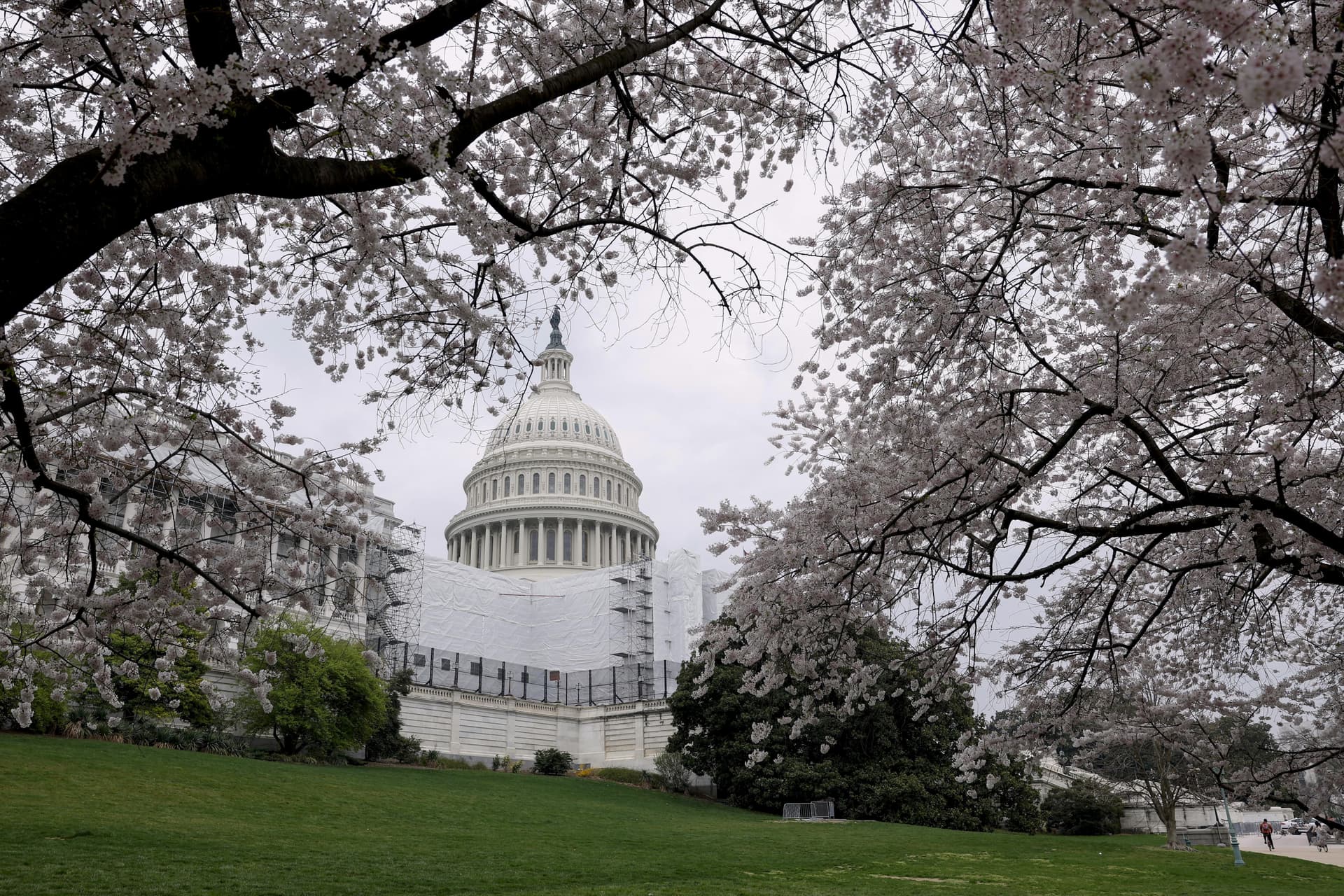 Washington Plays the Silicon Valley Bank Blame Game