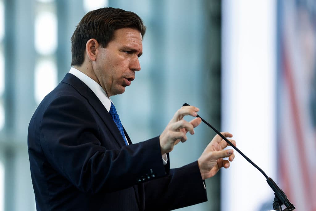 Florida Lawmakers Back DeSantis on Illegal Immigration Crackdown