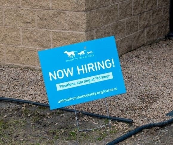 Something Is Rotten in the Latest Jobs Report