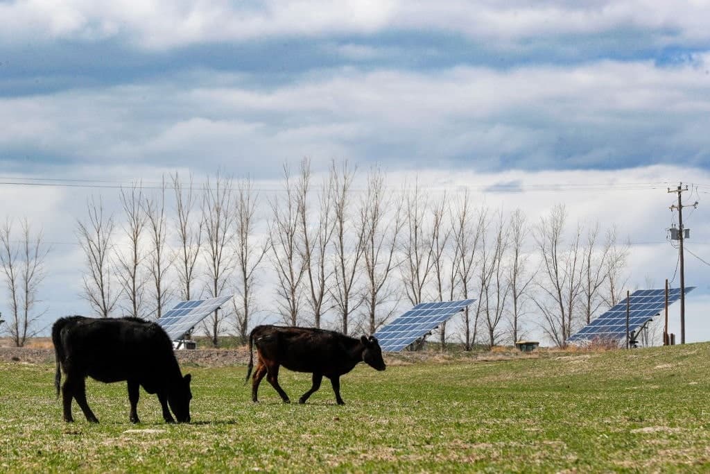 Solar Panels Peddled as Farm-Friendly?
