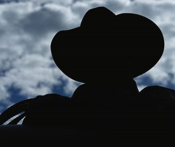 Gunslingers for Liberty: The Rise and Fall of Bloomberg – 2.23.20