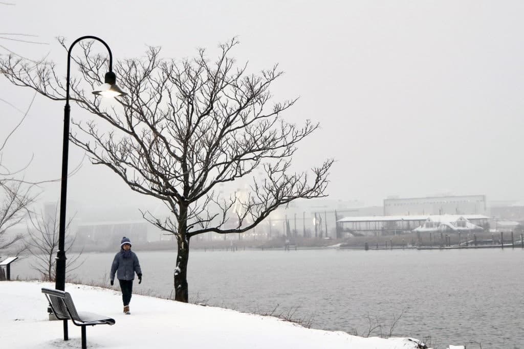 Cold Snap Response Exposes Climate Chicanery