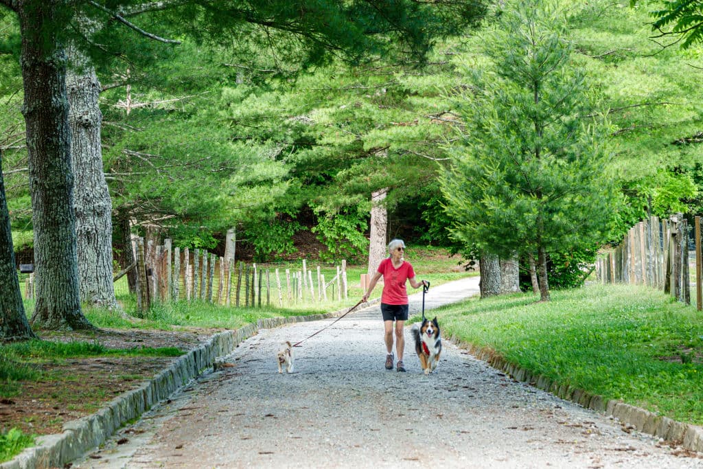 High on Health: US Life Expectancy Is Higher Than Ever