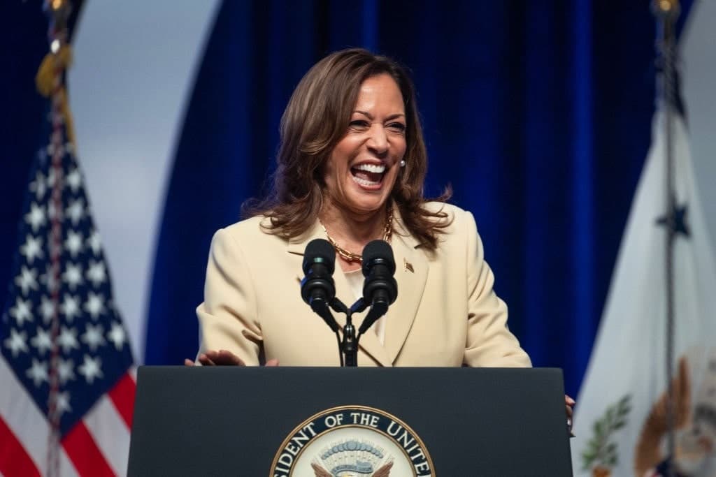 A Volatile Lesson in Democracy for the Harris Campaign