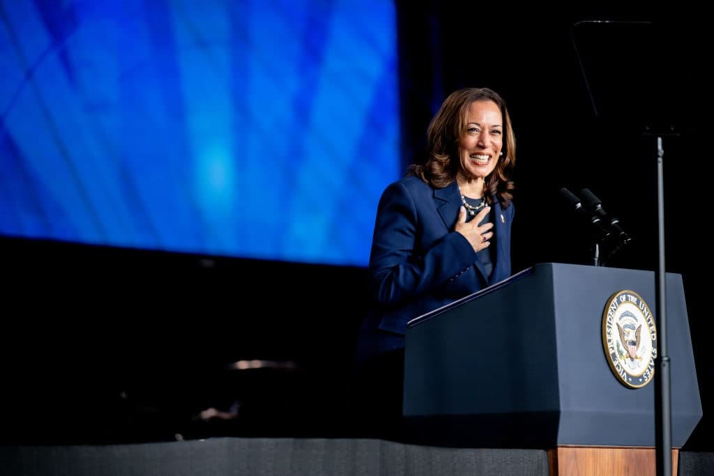 Strange Bedfellows: Loyalties Shift in Novel Ways for Kamala Harris