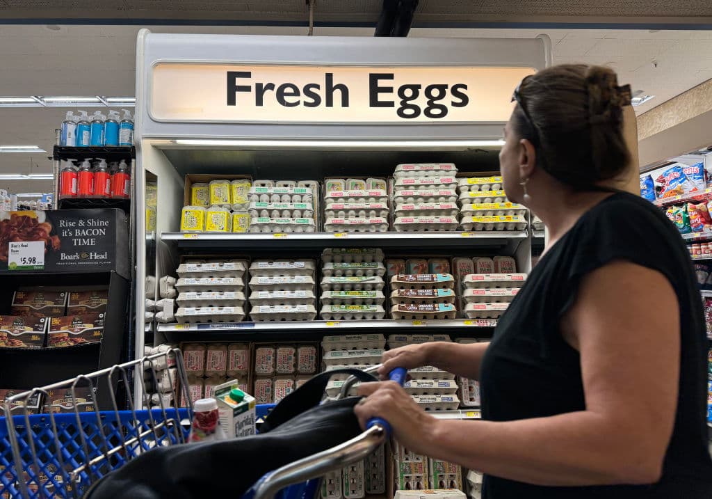 All Hail Lower Egg Prices – Swamponomics