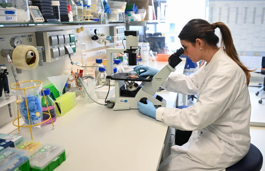 Can AI Really Eradicate Cancer?