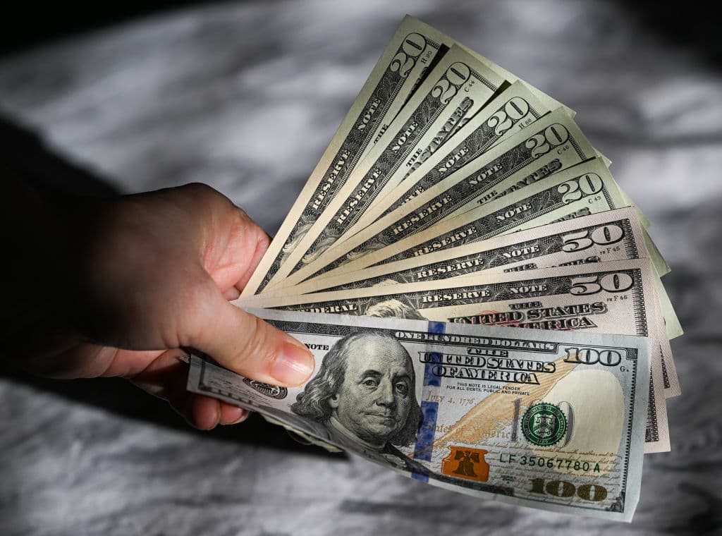 Ready for Your DOGE Dividend Check?