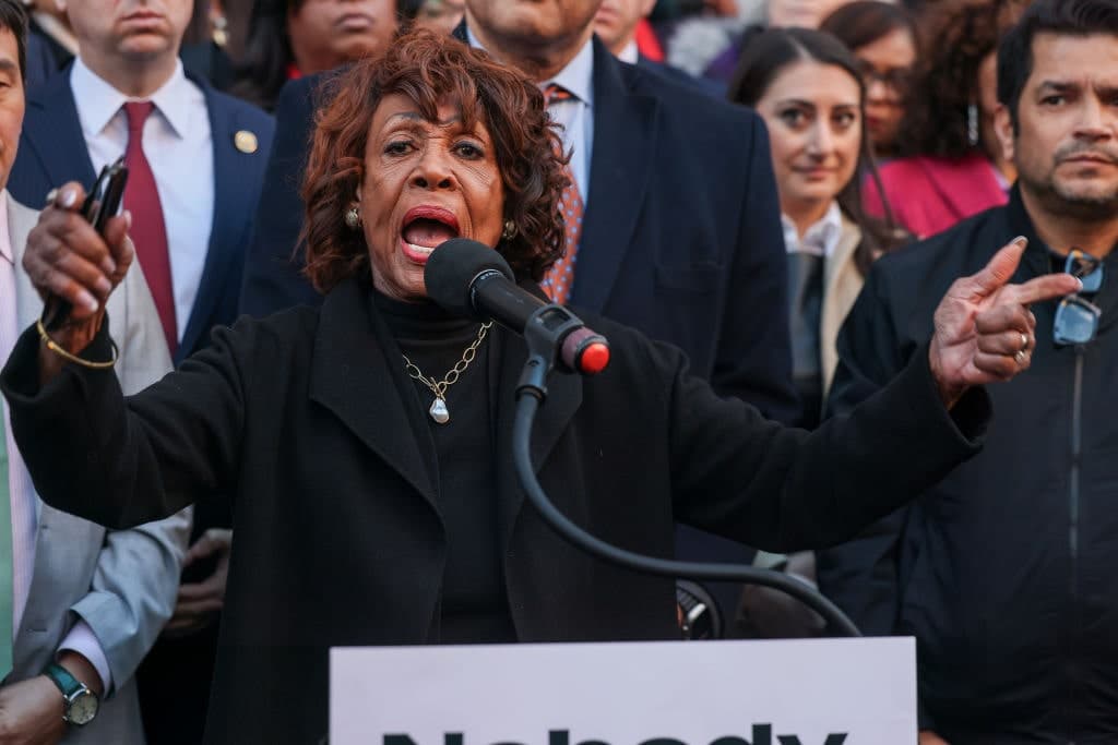 Democrats Cry Crocodile Tears Over DOGE Inquiry