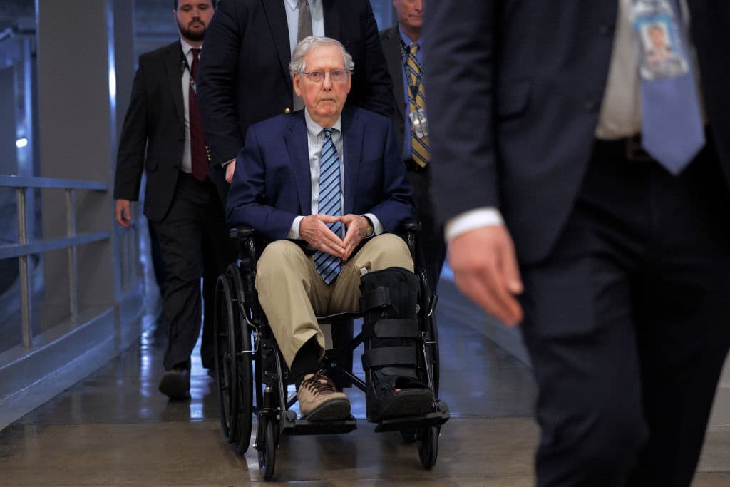 Mitch McConnell Won’t Run Again, and MAGA Republicans Are Delighted