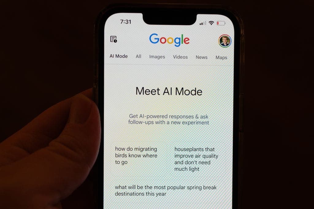The AI of Google Overview May Be Giving You the Wrong Results