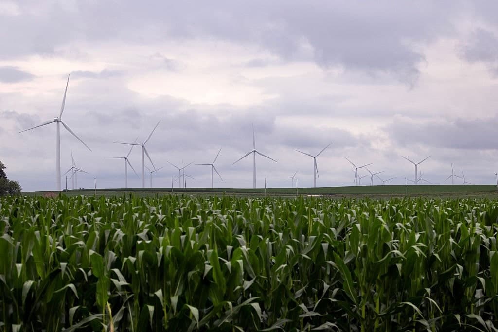 Food Supplies Threatened by Climate Change Policies