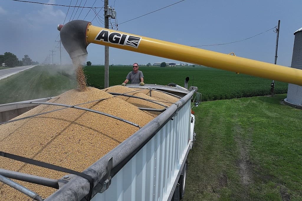 Soybeans Become a Thorn in the Trump 2.0 Agenda