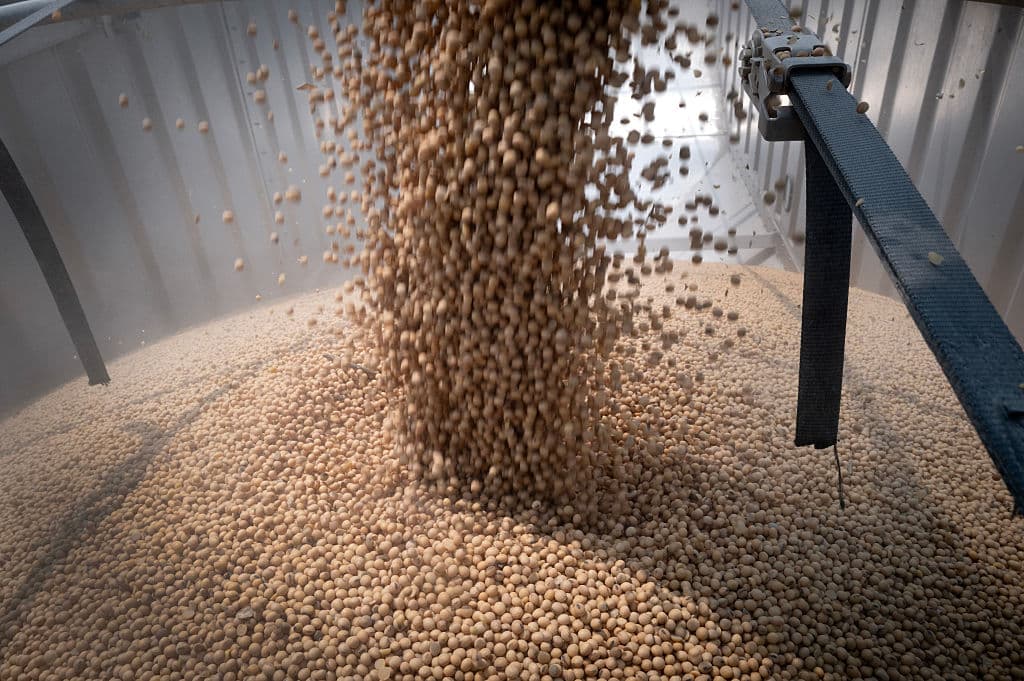 Trump Extends China Tariff Truce for … Soybeans?