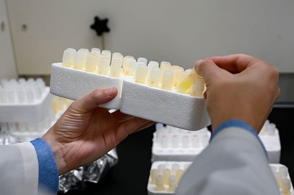 High on Health: A Link Between Microplastics and Alzheimer’s