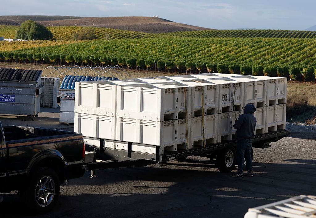 Toxic California Produce Raises Alarms