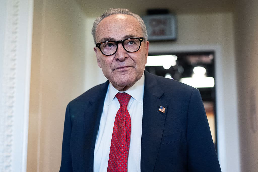 Is Chuck Schumer Ready for Democrat Wargames?