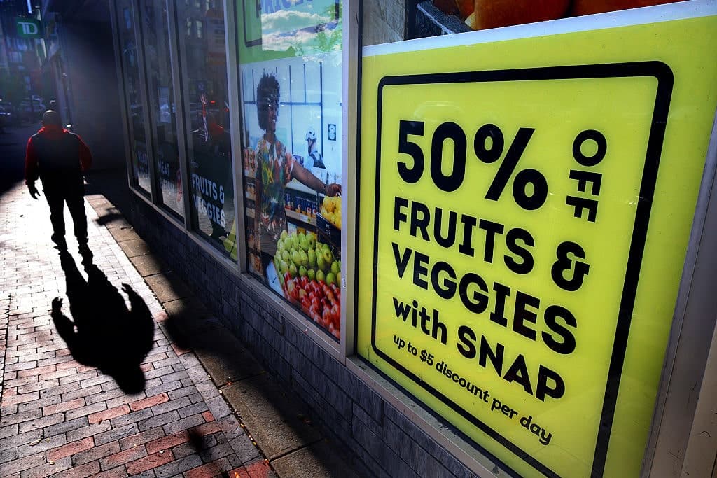 Dead on the Rolls, Double on the Dole: Inside the SNAP Crackdown