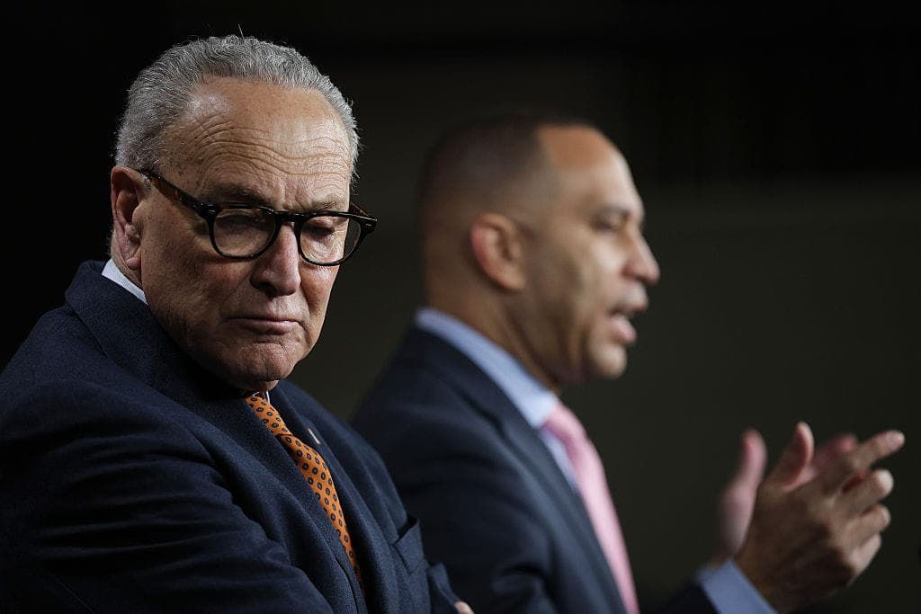The New Democrats: Rebels Without a Caucus